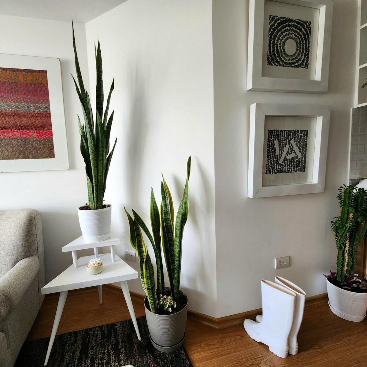 Luxury In A Residential Area * Cuzco